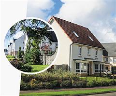 New homes New homes